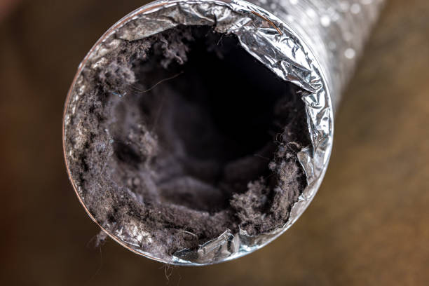 Best Professional Duct Cleaning Services  in Cannelton, IN